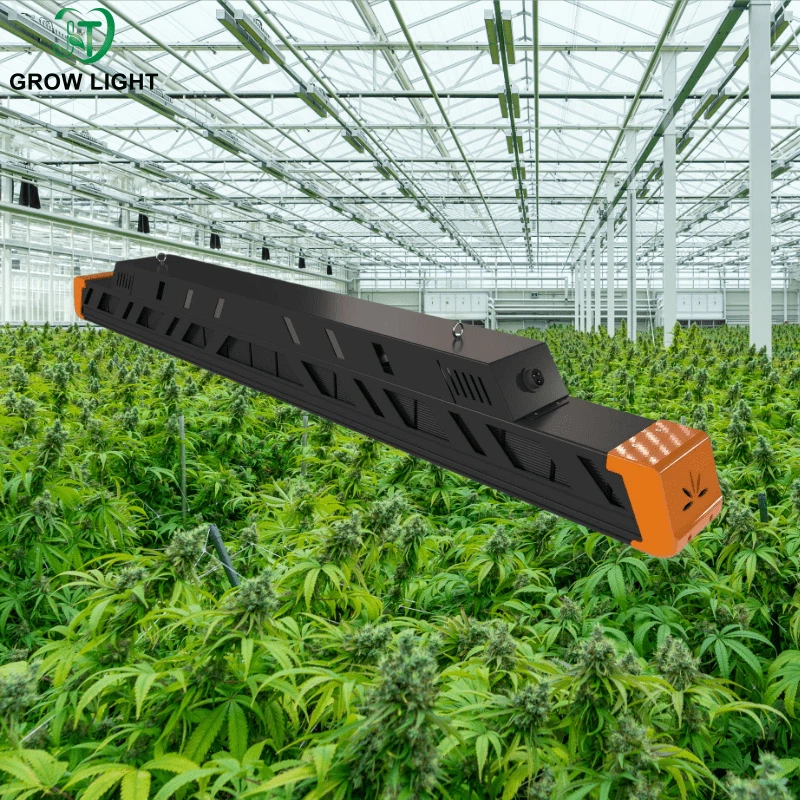 LED lighting LED lighting