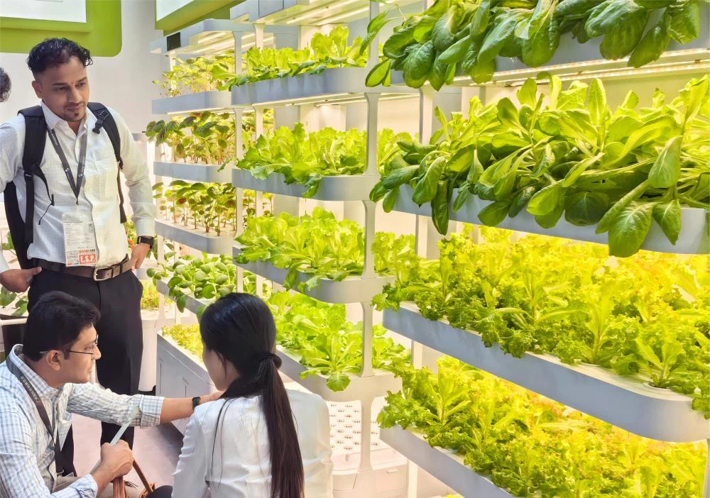 Indoor vegetable planter.jpg Indoor vegetable planter.jpg