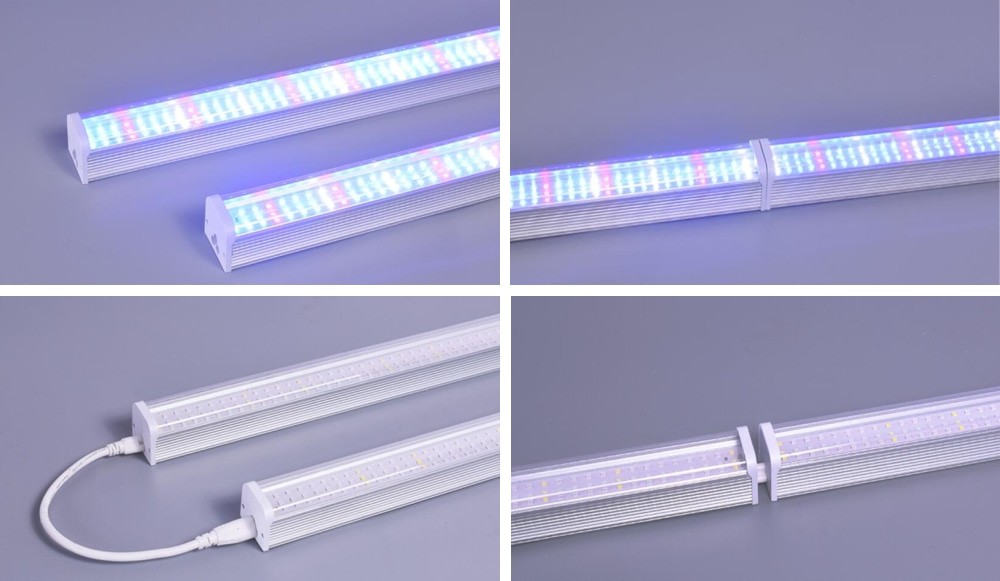 T8 LED lightS